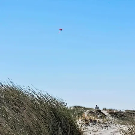 461-hvide-sande-tingodden-152 Hvide Sande