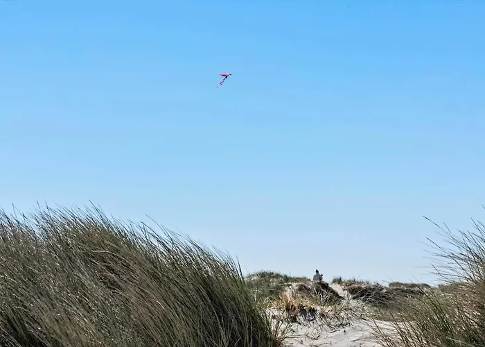 461-hvide-sande-tingodden-152 Semesterbostad